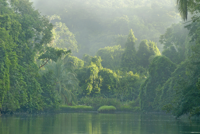 Corcavado_Park, Costa Rica