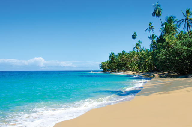 Wild_Beach, Costa Rica